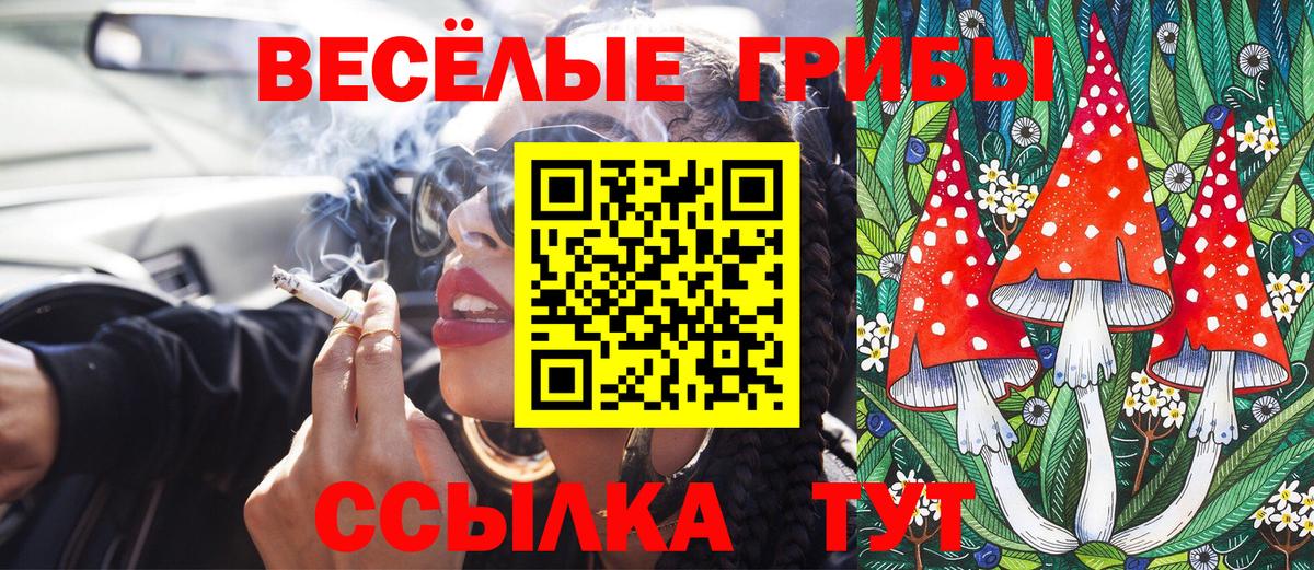 Егорьевск  Псилоцибиновые грибы Psilocybe  Вход с VPN 