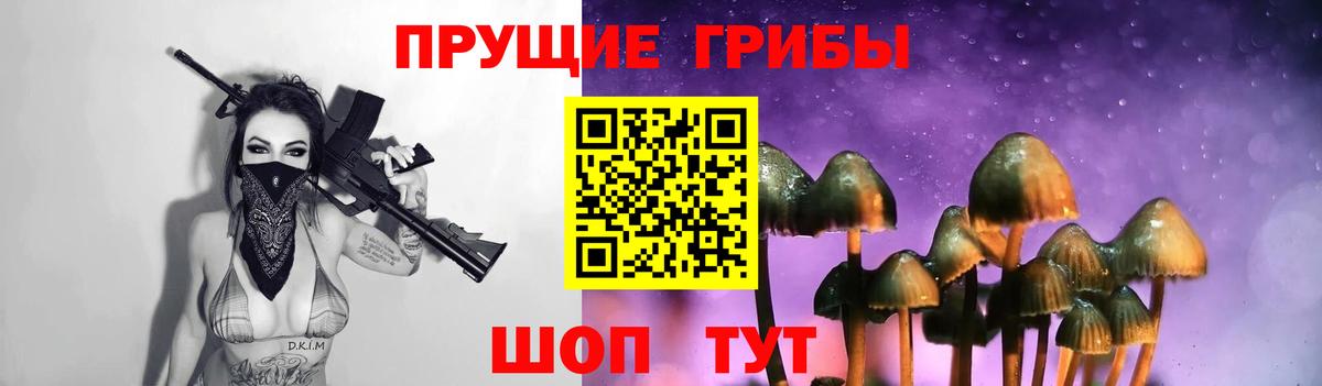 Галлюциногенные грибы Psilocybe Егорьевск